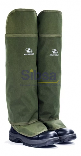 PROT-ARC-SURICATA Arctodus