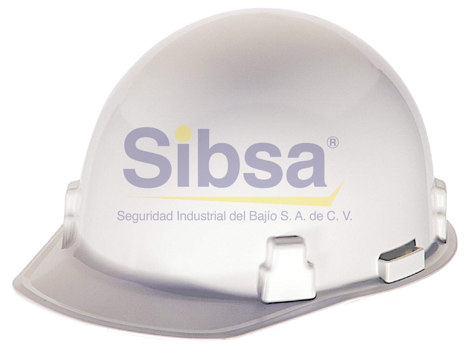 CABE-MSA-486965 MSA