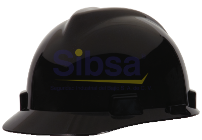 CABE-MSA-10031801 MSA