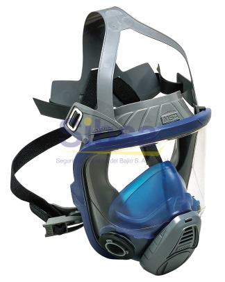 RESP-MSA-10031309 MSA