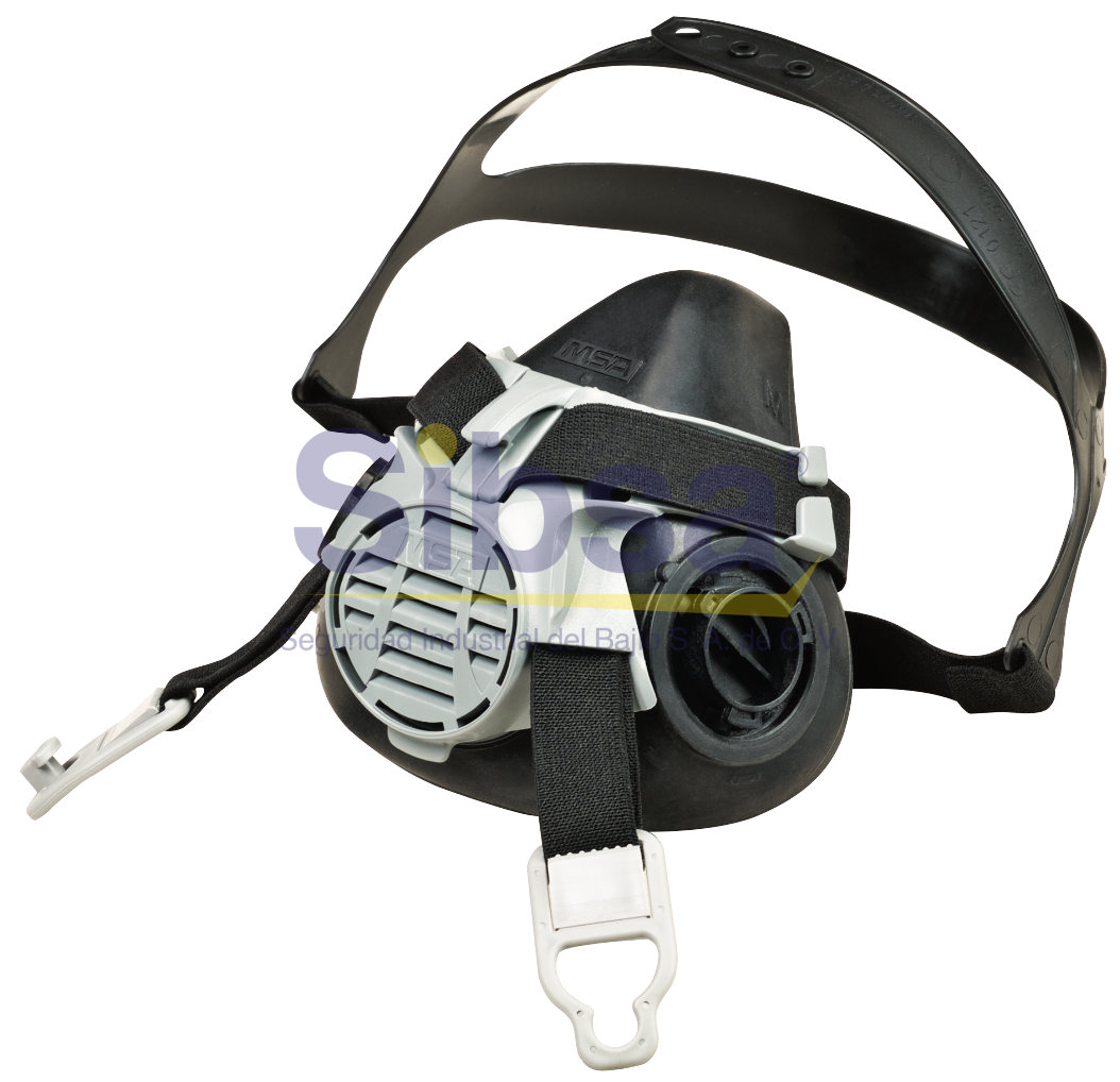 RESP-MSA-10102184 MSA