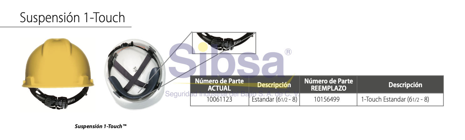 CABE-MSA-10061123 MSA